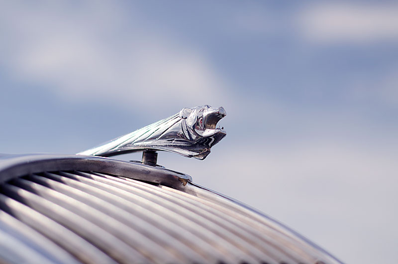 Peugeot Kühlerfigur